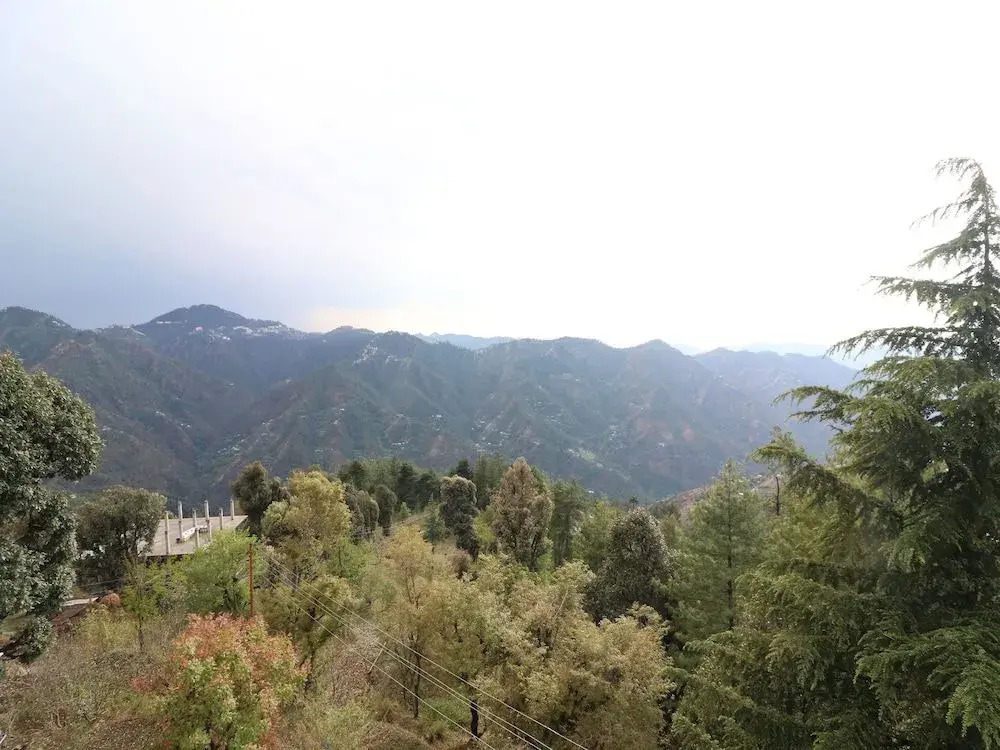 OYO 13317 Home Hill View 2BHK Mashobra