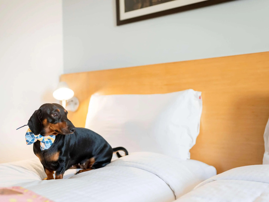 ibis Chennai City Centre - An Accor Brand