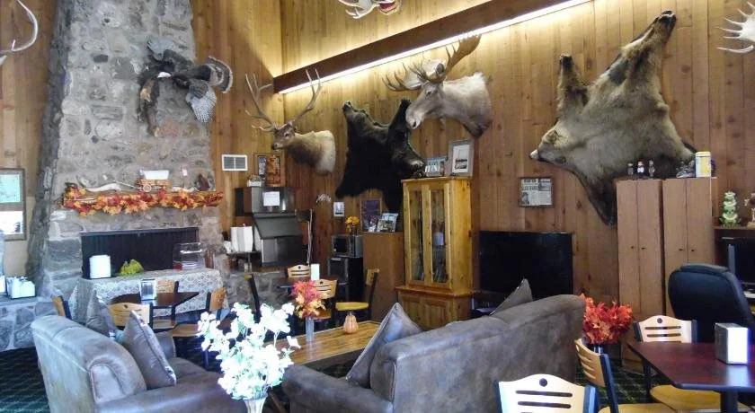 Bear Lodge Motel