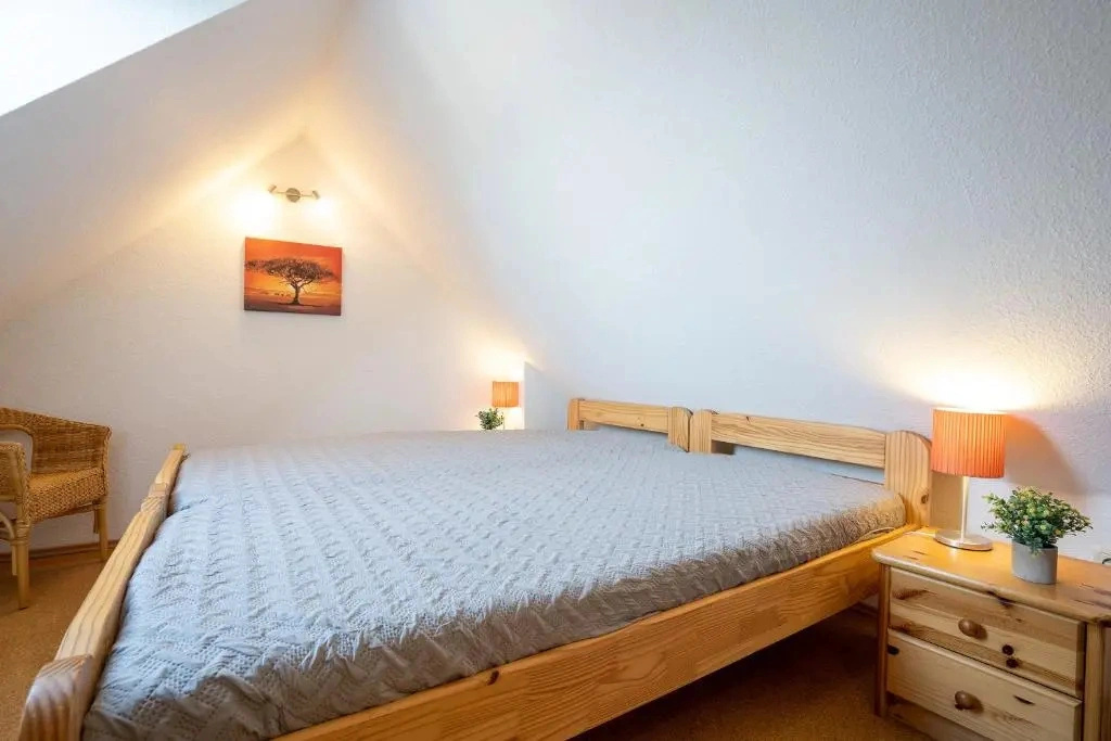 Ostlandstraße 1 Lachmöwe