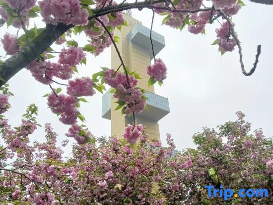 Zhangjiagang Qianxi Hotel (Zhangjiagang  Shopping Park)