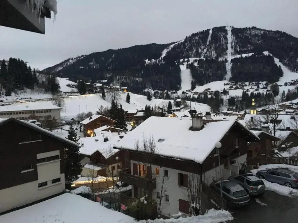 Appartement La Clusaz, 2 pièces, 5 personnes - FR-1-437-61