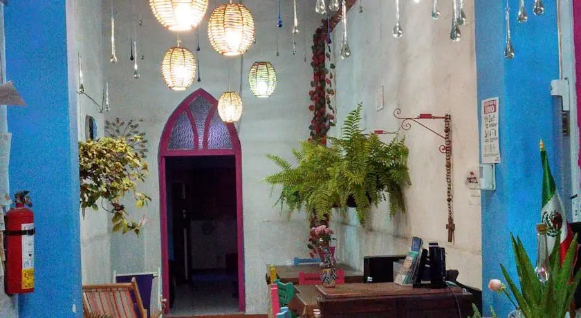 Ocote Hostal