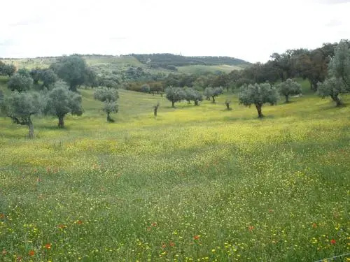 Quinta Da Mata