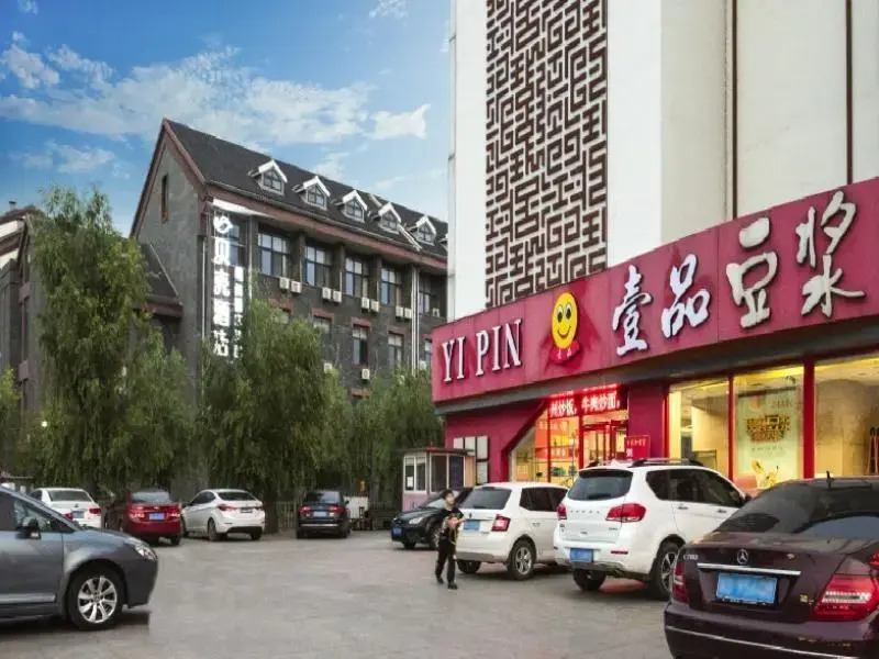 Shell Shandong Province Zaozhuang City Taierzhuang