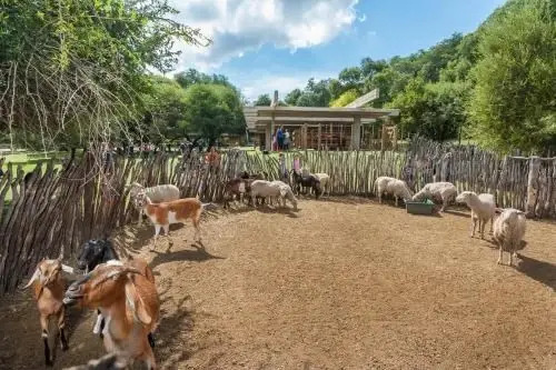 El 44 Reserva Natural de Tiempo Libre