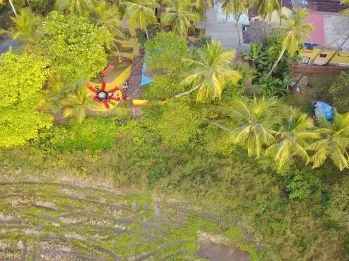 That Crazy Hostel