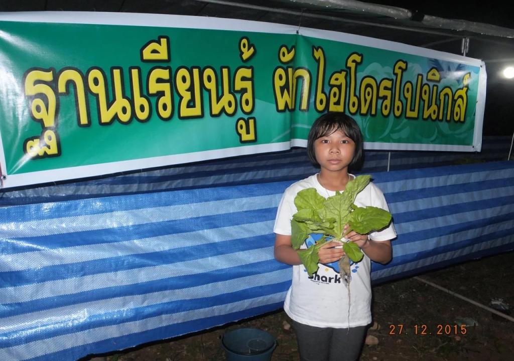 Go Green Resort