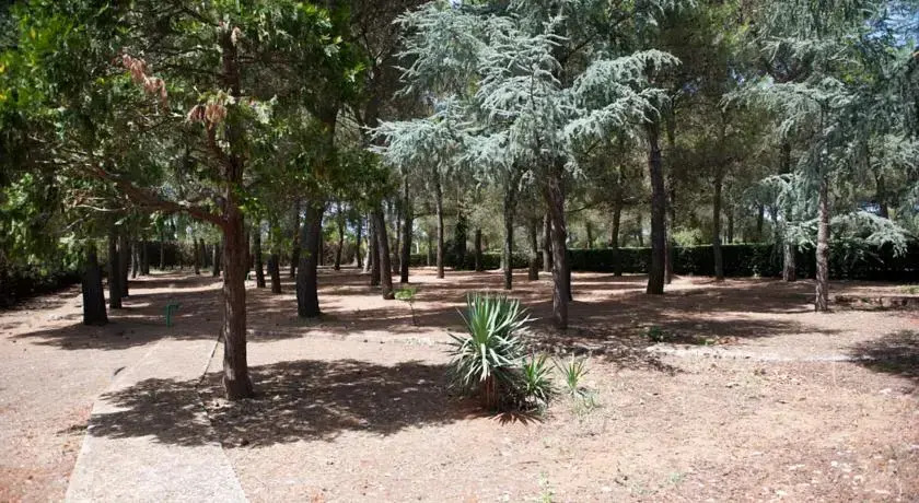 La Chiantata - Piccinnu