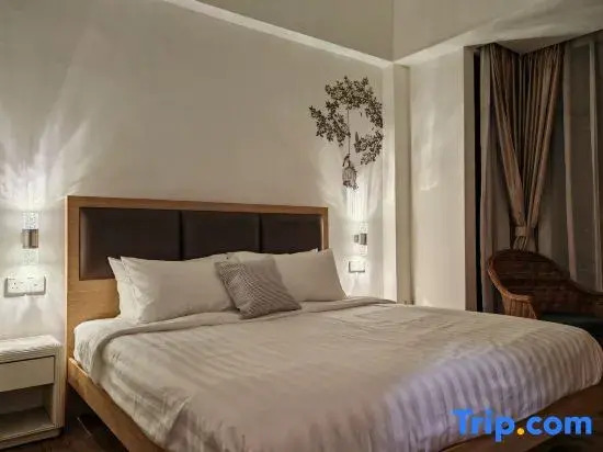 Urban Oasis Apartment 5