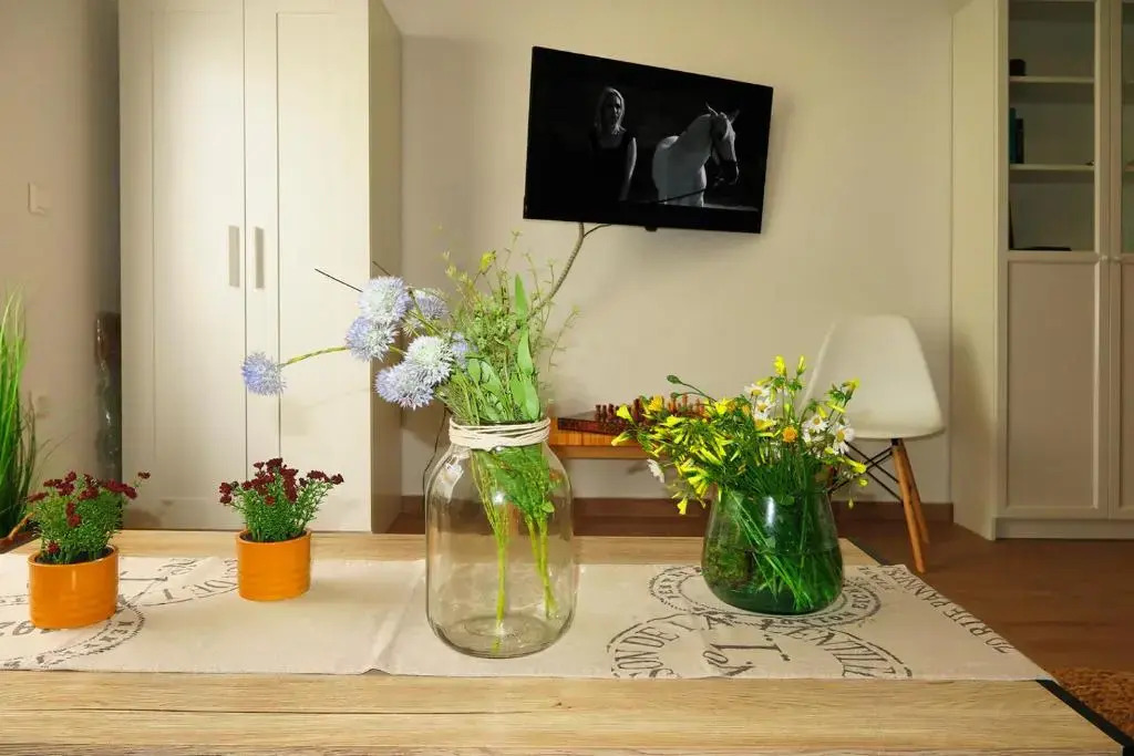 Opus Suite