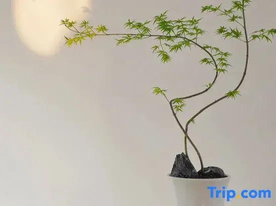 Jiangmen Yufeng Apartment
