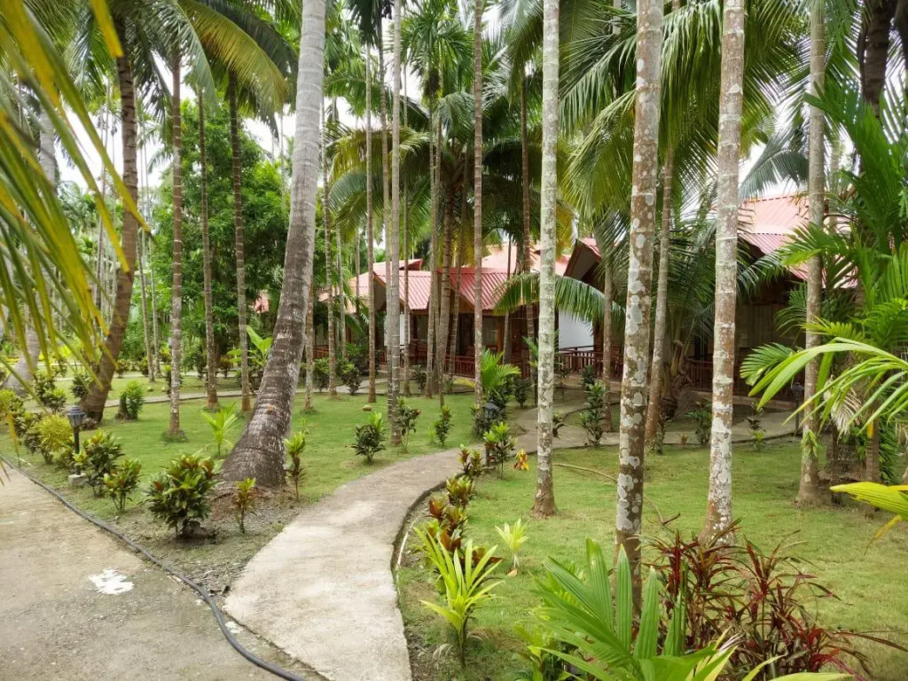 Reef Valley Resort