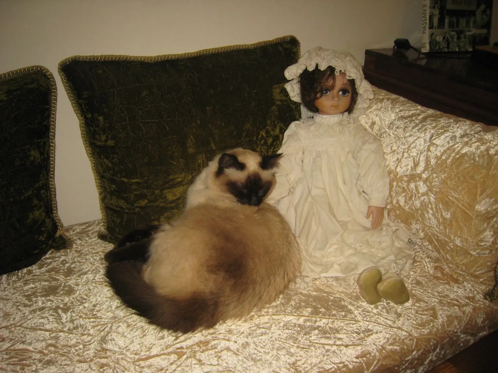 Riad Noos Noos & Spa