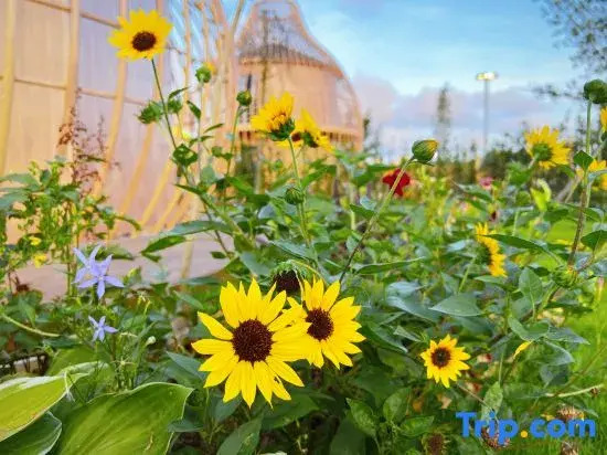 Sanqian Yinhe International Camping Hotel