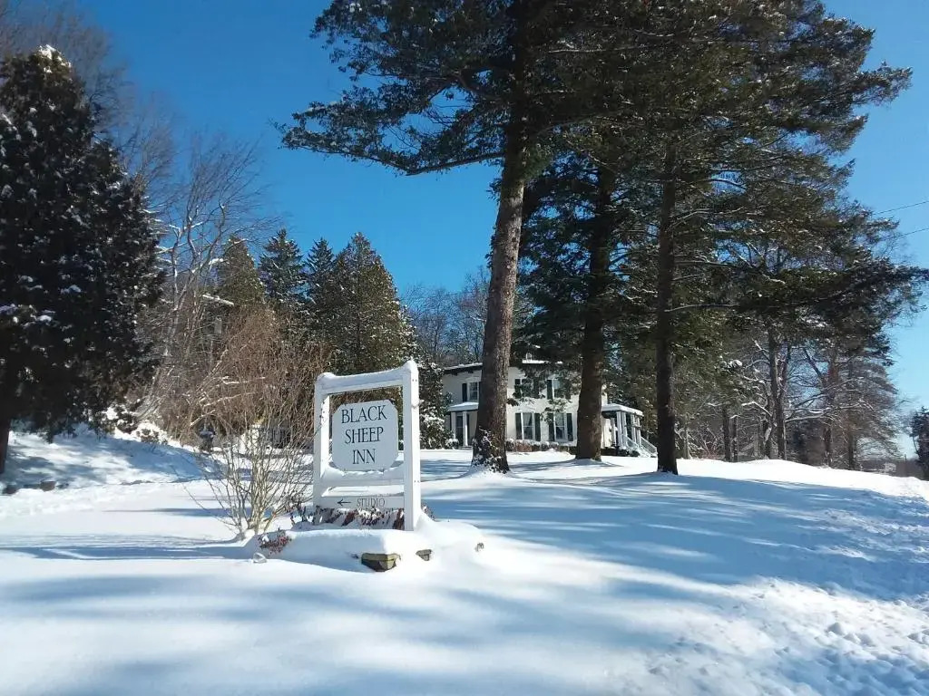 Black Sheep Inn