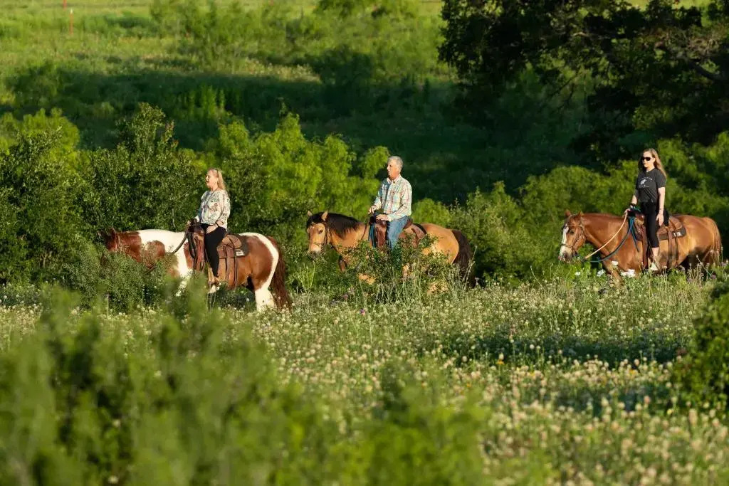 Wildcatter Ranch & Resort