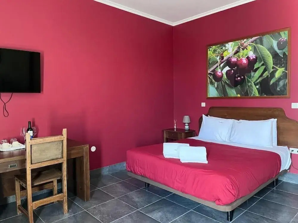 Tranca da Barriga - Casa do Vinho by Quinta De São Tiago