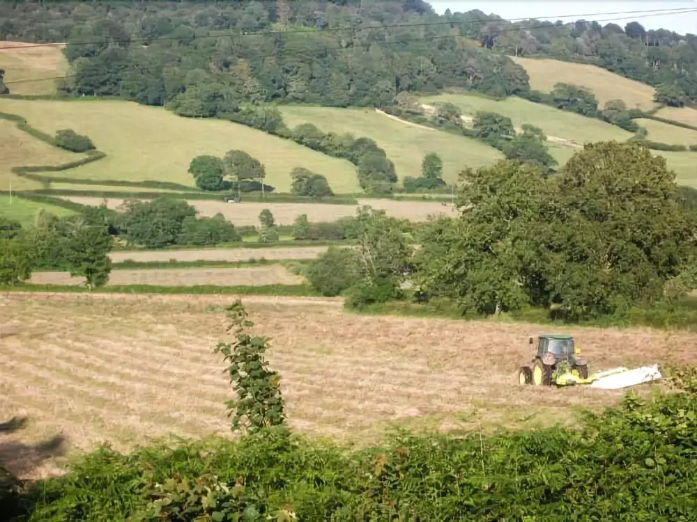 Little Greenhayes