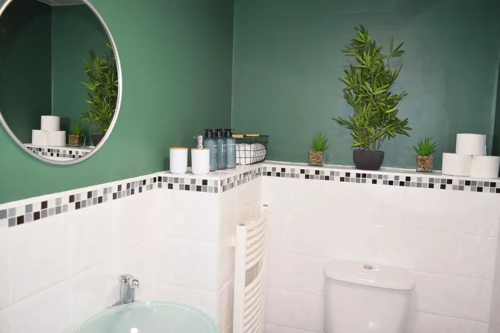 The Jungle Apartment