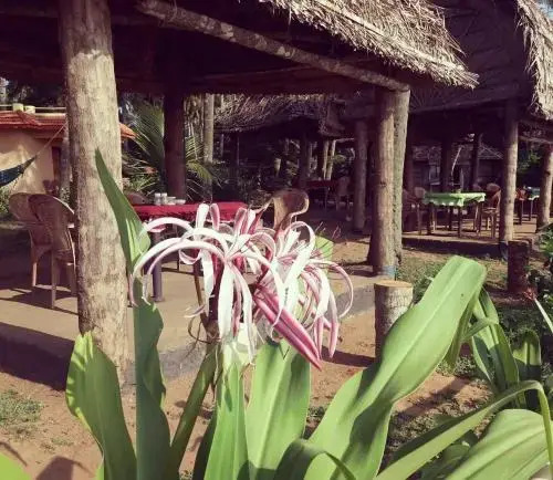 Sukriti beach Resort