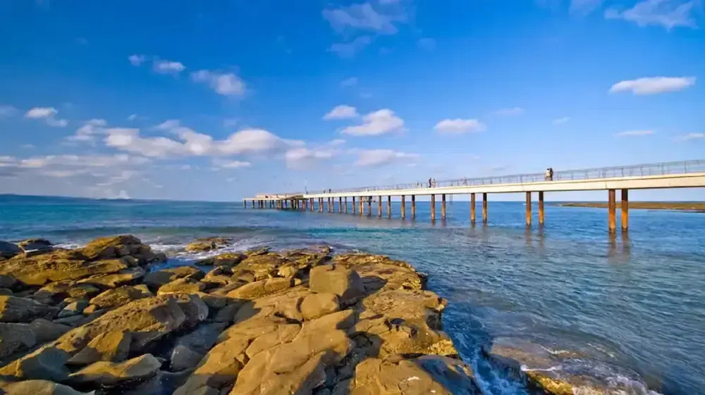 Whispering Gums Lorne Ocean Views Pet Friendly EV Charger