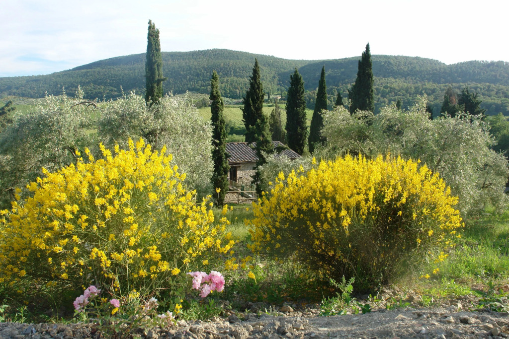 Tenuta Le Sodole - Papavero Holiday Home
