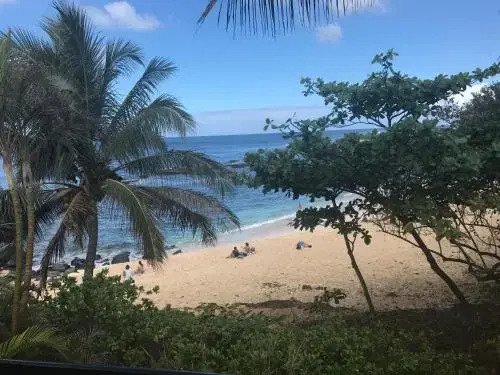 Backpackers Vacation Inn and Plantation Village