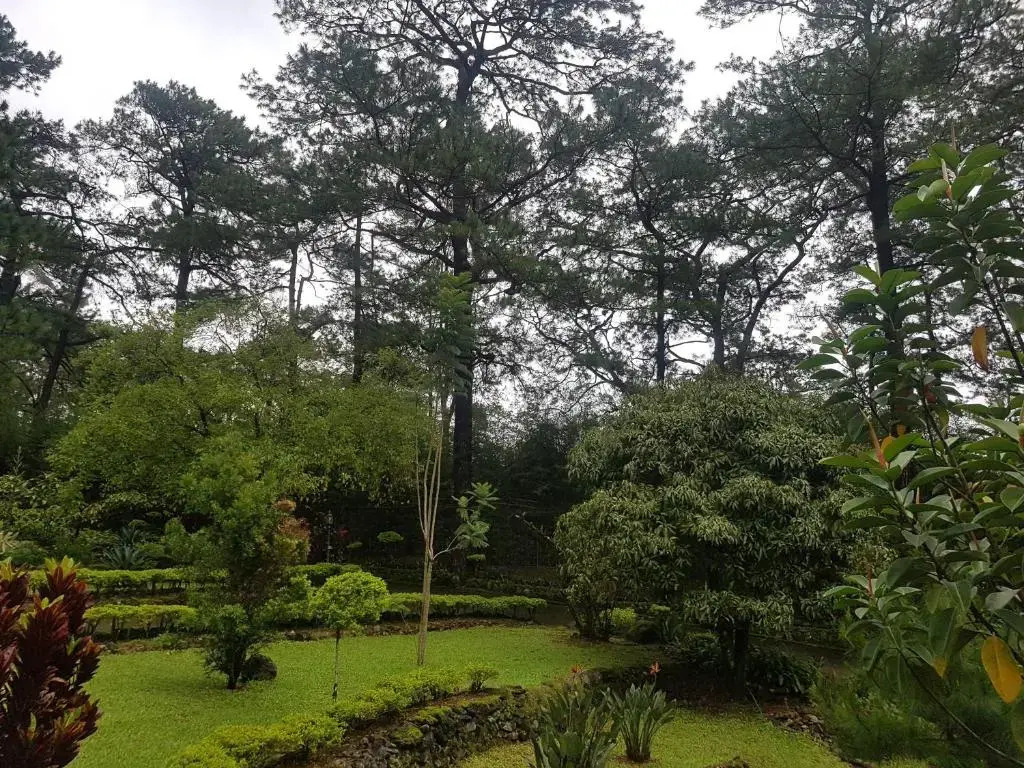 Jabbitos Baguio Transient House 2
