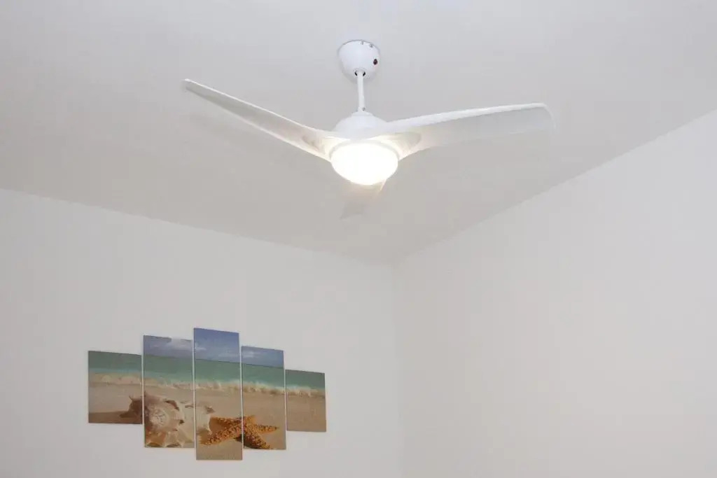 Maipiusenza House 2