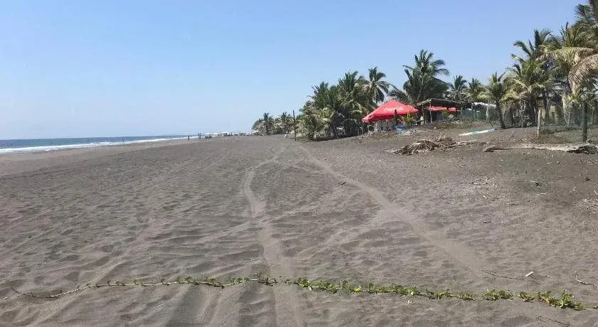 Cuyutlan Holistico