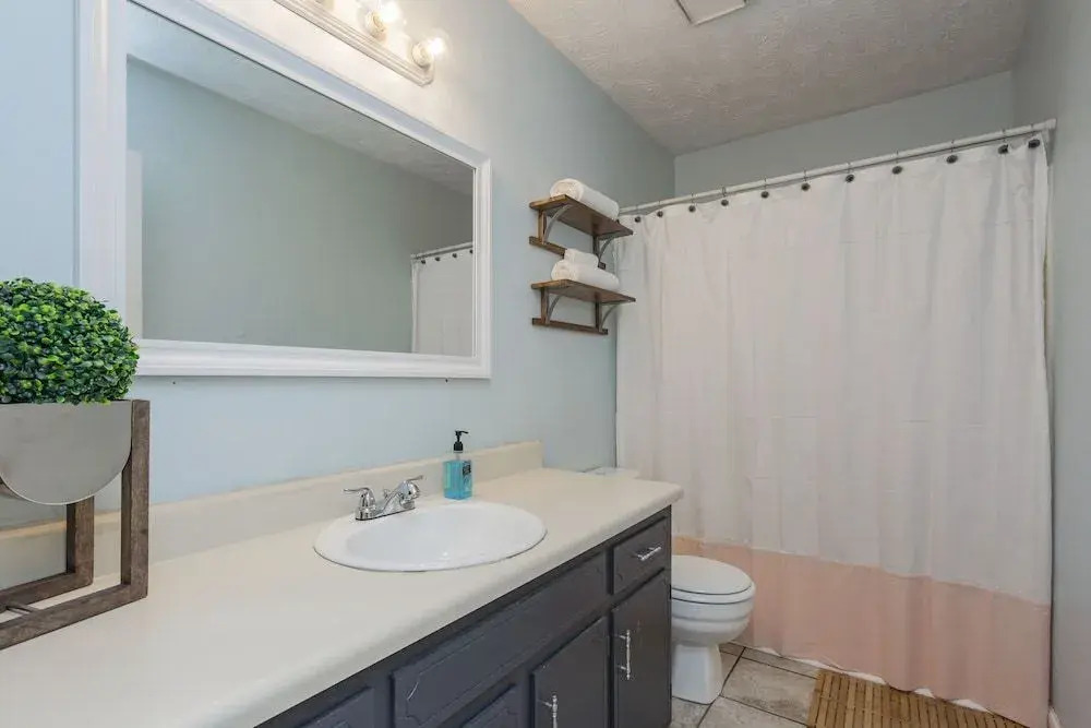 Take a Jog in Nearby Shelby Park at a Bright, Cozy Home