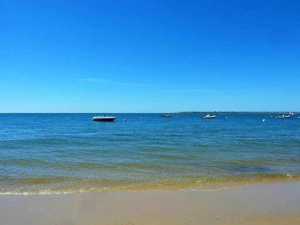 Appartement Arcachon, 1 Pièce, 3 Personnes - Fr-1-420-79