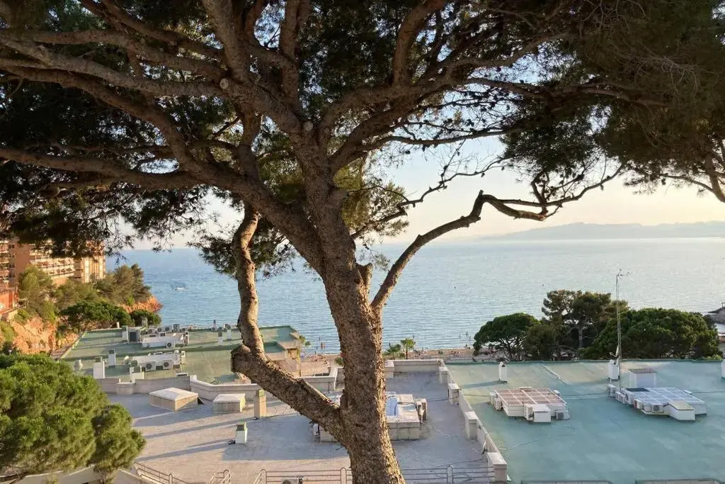 Apartamento con terraza y vistas al mar - Tree House Salou