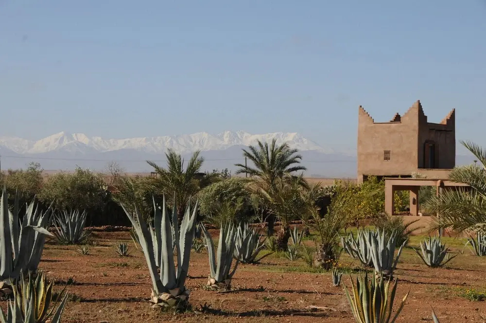 La Parenthese de Marrakech