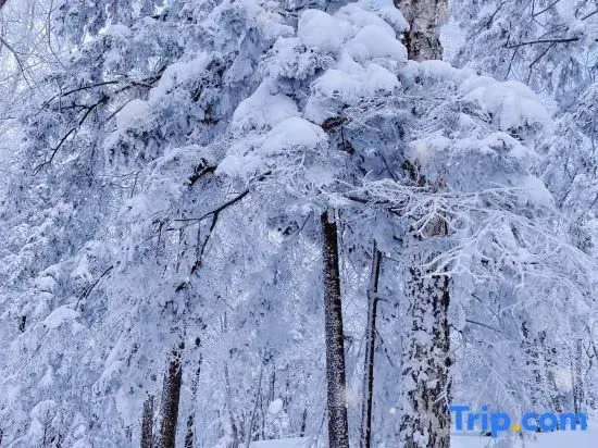 Xiangye · Qitinxue The Beauty of The East Snow View Homestay (Snow Town Scenic Area)