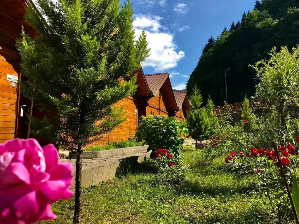 Tuva Villa Bungalov