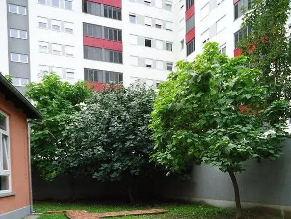 Party Hostel