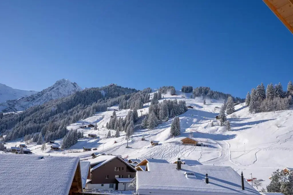 Chuenislodge3 neu&stilvoll, 2Balkone, echtes Bijou mit top-Aussicht