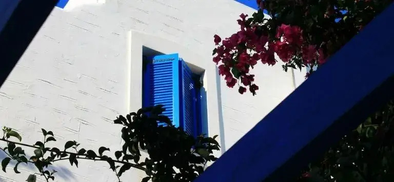 Pelagos Studios