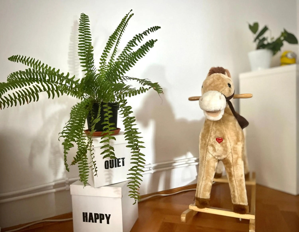 Travellers apartment