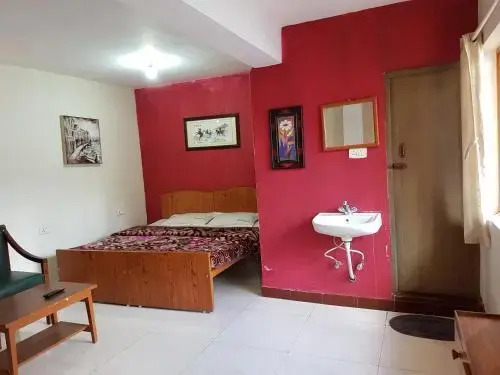 DNS Tourist home