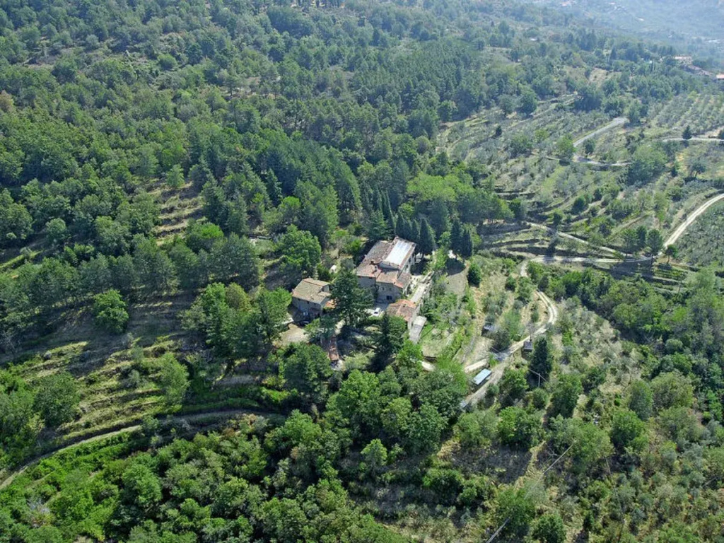 Belvedere - Limonaia