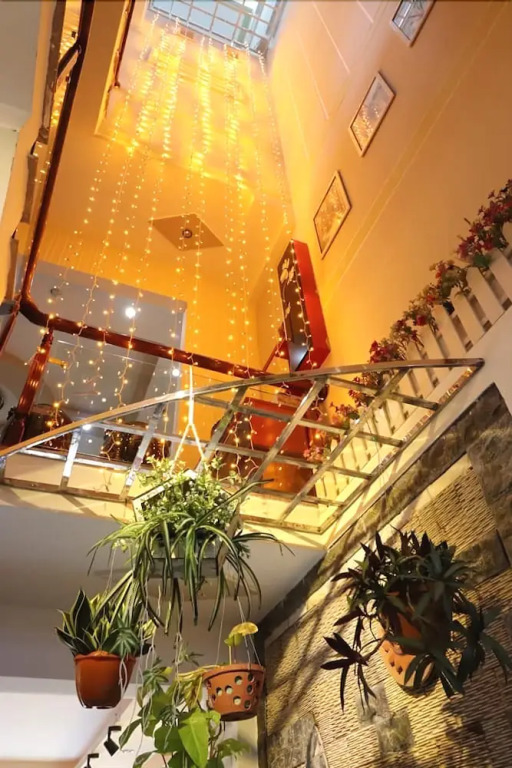 Hoa Giay Quy Nhon Homestay - Hostel