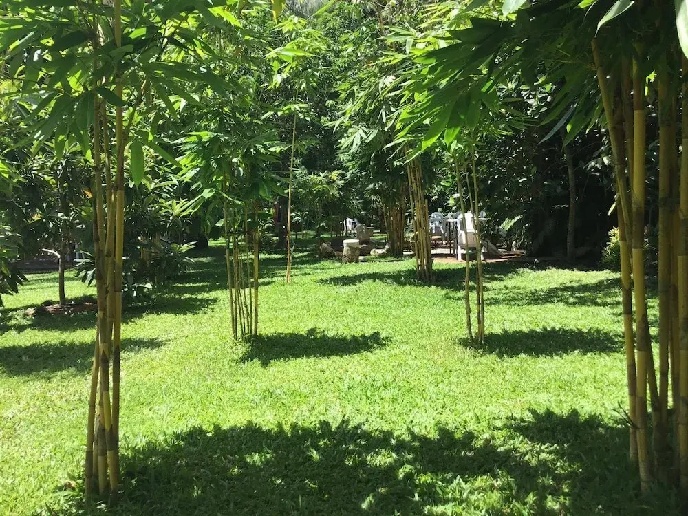 Room-camiguin Lanzones Resort -supreme