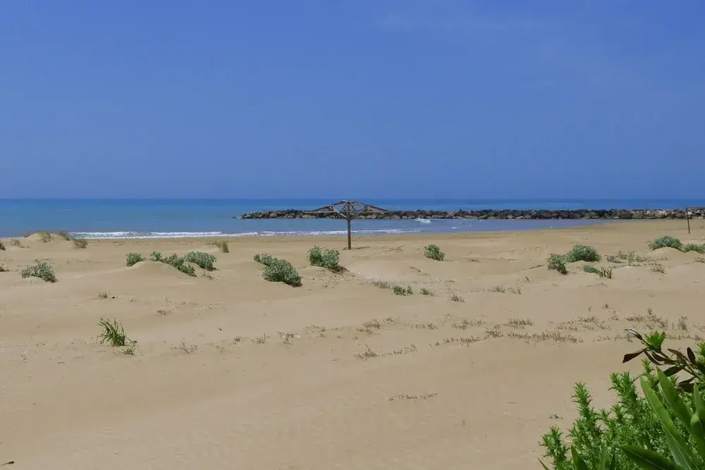 Dune
