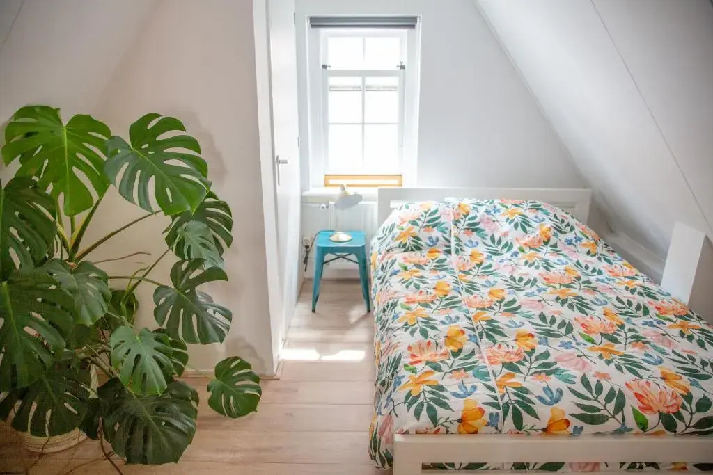 Pension B&B Pluk