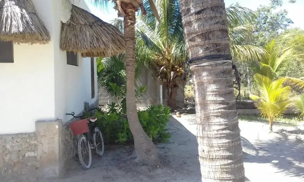 Boox  Casa