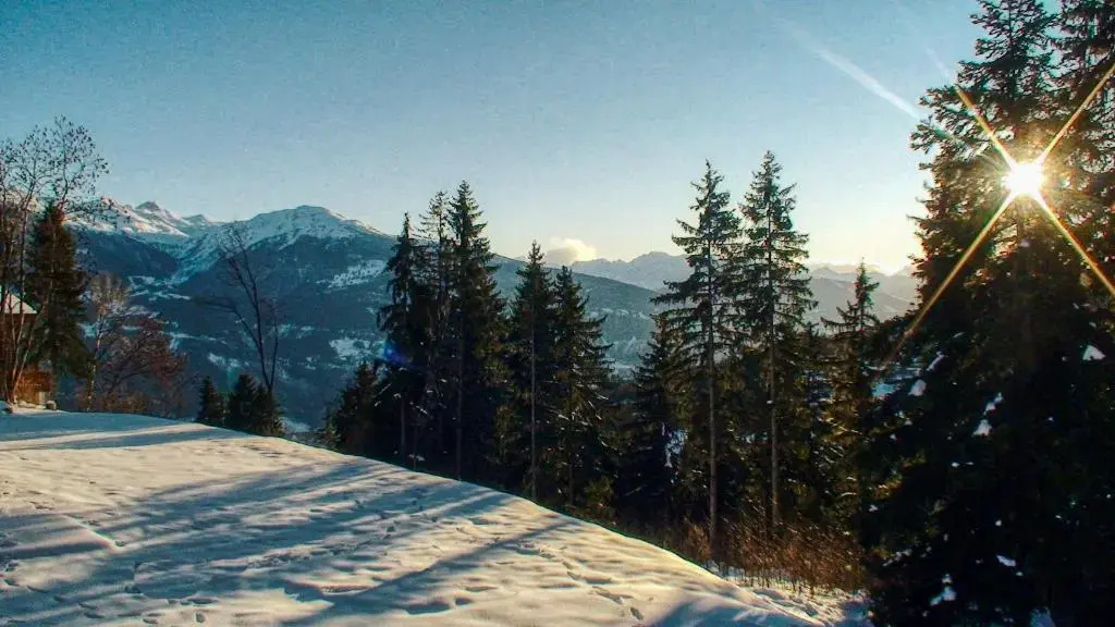 Chalet El Condor