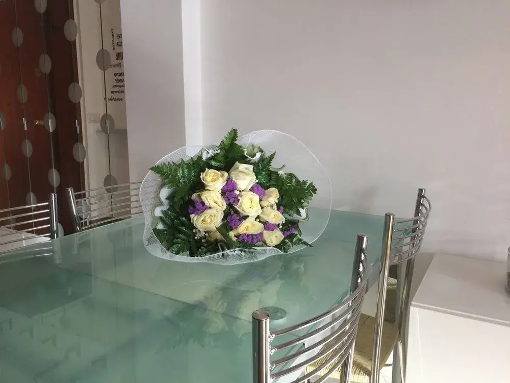 Sissi Home